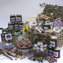 Christmas Shop