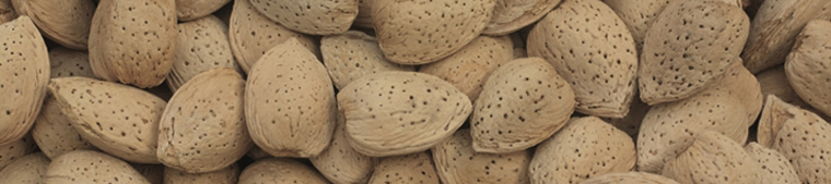 Organic Almonds