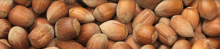 Brown Cobnuts