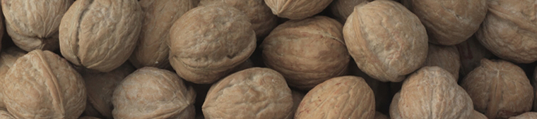 Organic Walnuts