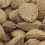 Organic Almonds