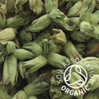 Green/Golden Cobnuts