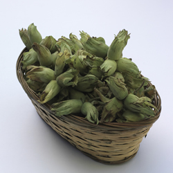 1lb Pack of Green/Golden Cobnuts