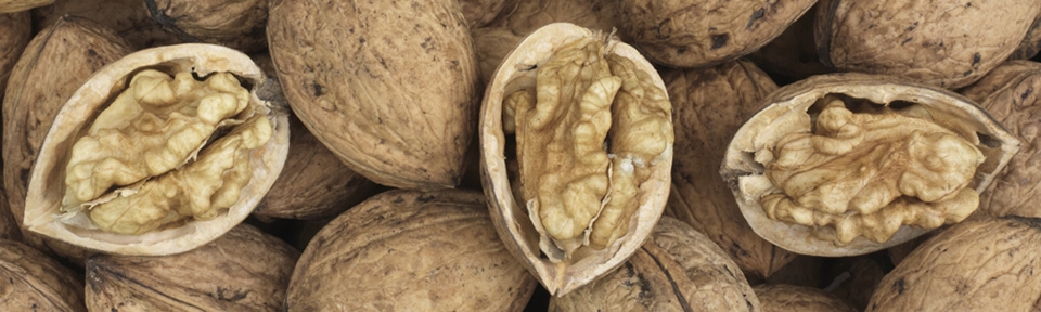 Potash Farm - Walnuts