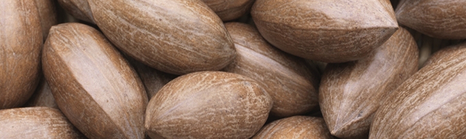 Potash Farm - Pecan Nuts
