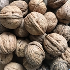 Walnuts