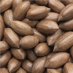 Pecan Nuts
