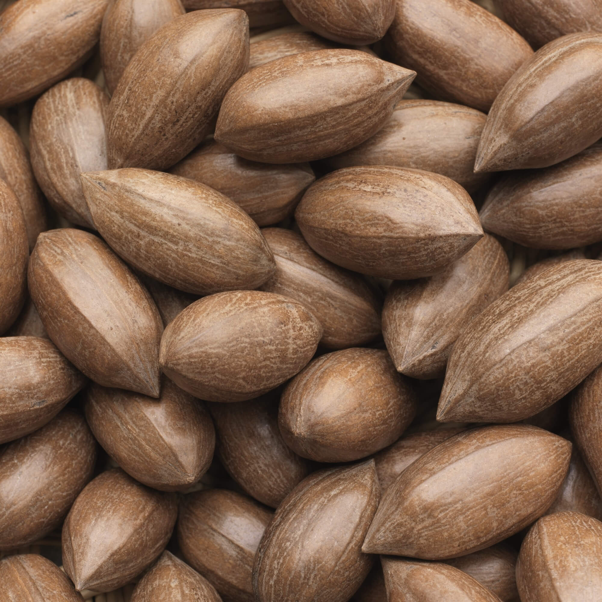 Pecan Nuts - A Pecan Nut is an edible nut encased in a brown shell with a tough outer green coat. They are mainly grown in Georgia, Texas, New Mexico and Oklahoma. 
