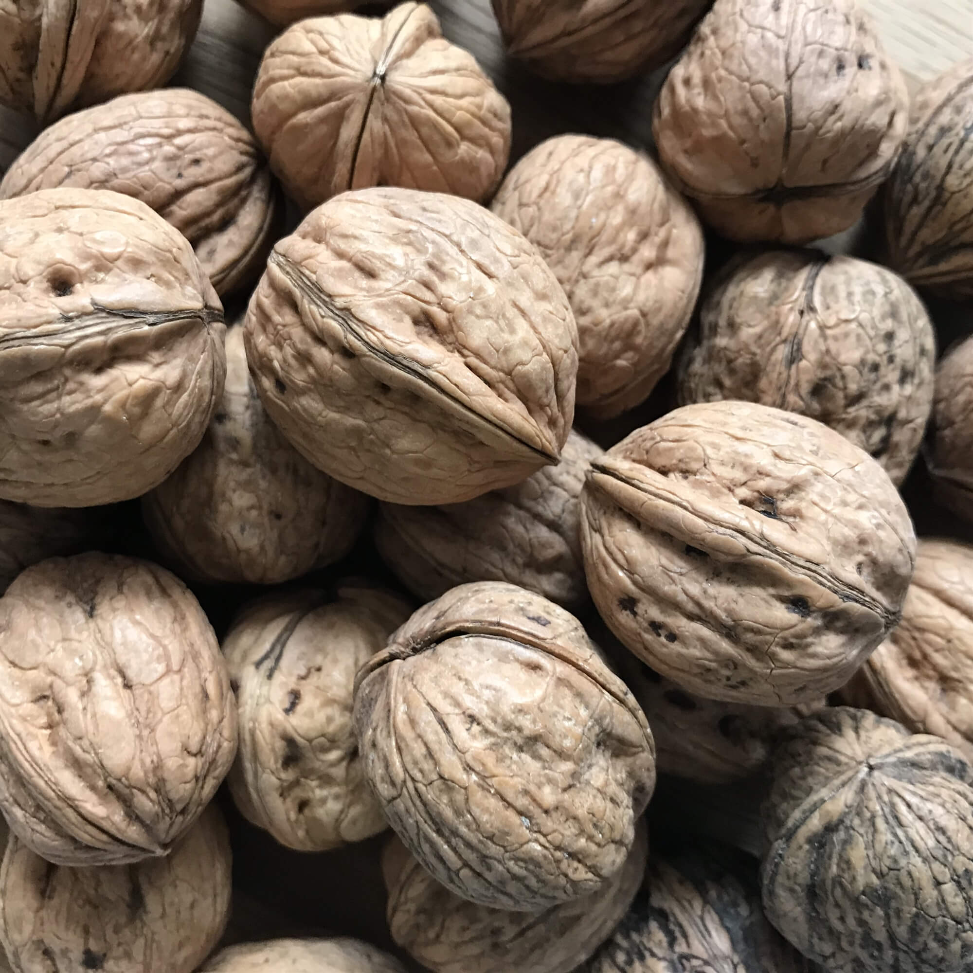 Walnuts Wet Walnuts Green Walnuts Potash Farm