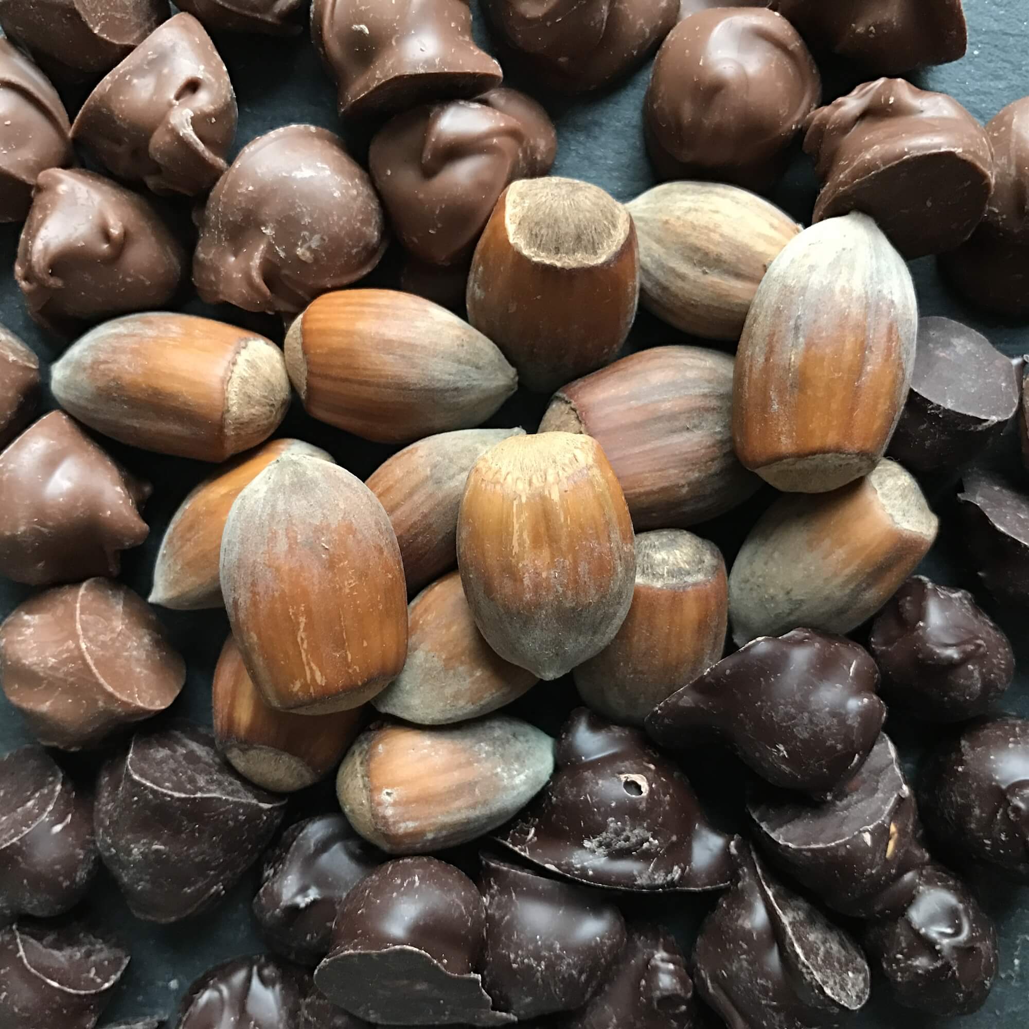 Plattinums Kentish Cobnuts - Plattinums Kentish Cobnuts are lightly caramalised and enrobed in a 45% Belgian milk chocolate or 70% Belgian dark chocolate