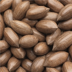 Pecan Nuts