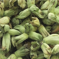 Naturally Grown Green/Golden Kentish Cobnuts