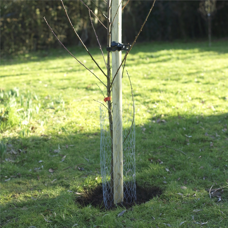 Tree Planting Packs