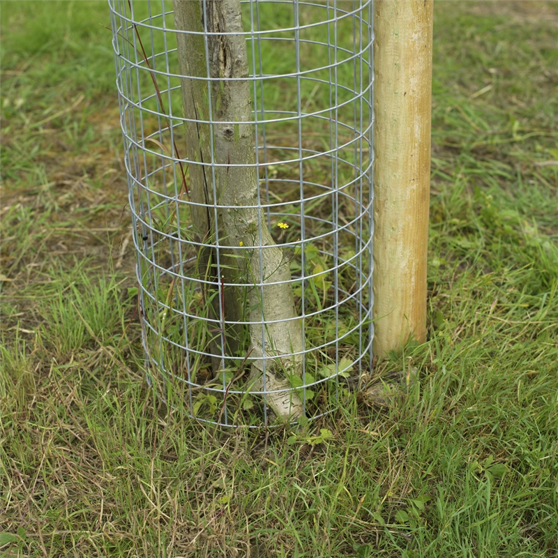 Deer Tree Planting/Protection Packs