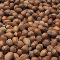 Dehusked Kentish Cobnuts