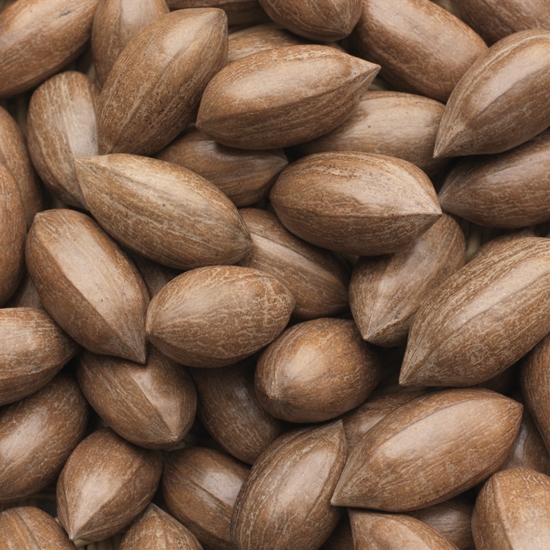 Farm Produced Pecan Nuts