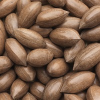 Farm Produced Pecan Nuts