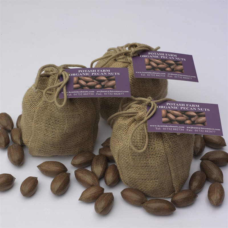 Farm Produced Pecan Nut Gift Bags