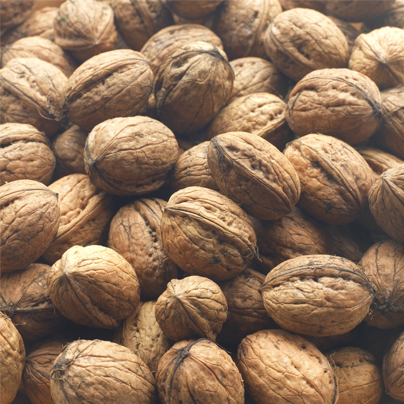 Wet Walnuts