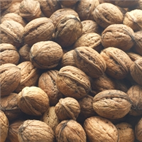 Wet Walnuts